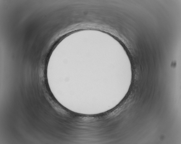 X0000116651499201001111218