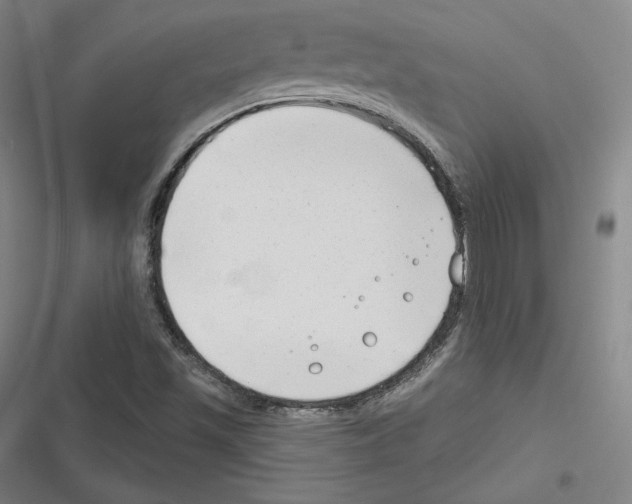 X0000116651501201001111218