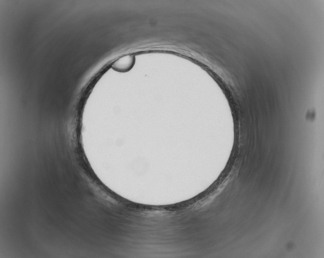 X0000116651502201001111218