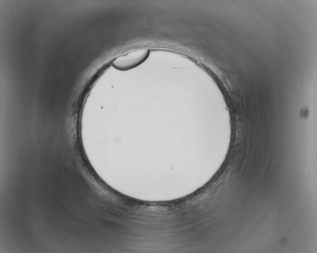 X0000116651503201001111218