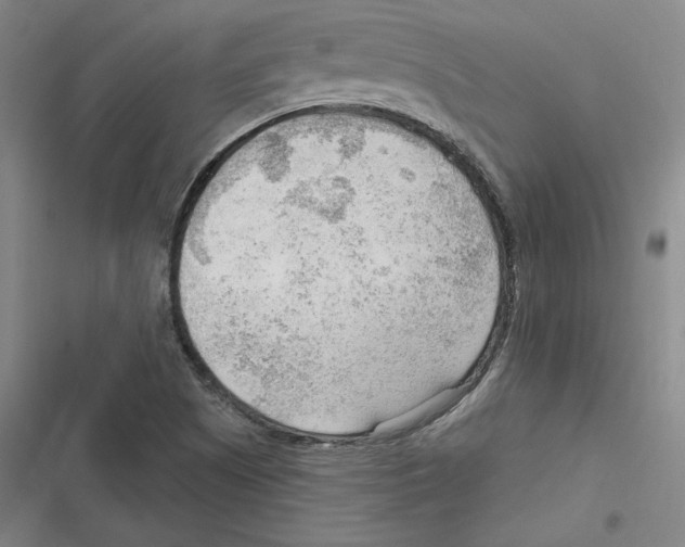 X0000116651505201001111218