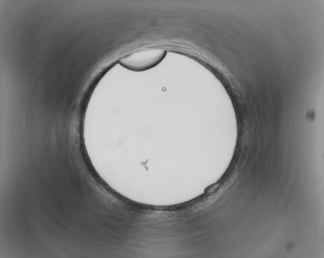 X0000116651506201001111218