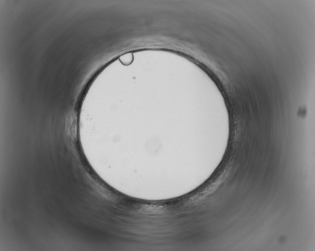 X0000116651509201001111218