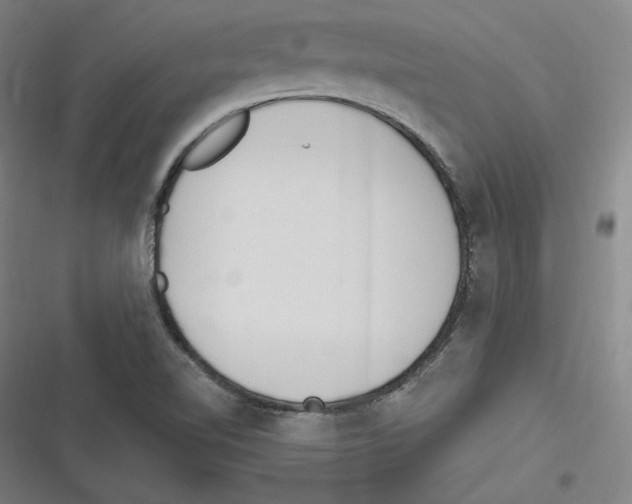 X0000116651510201001111218