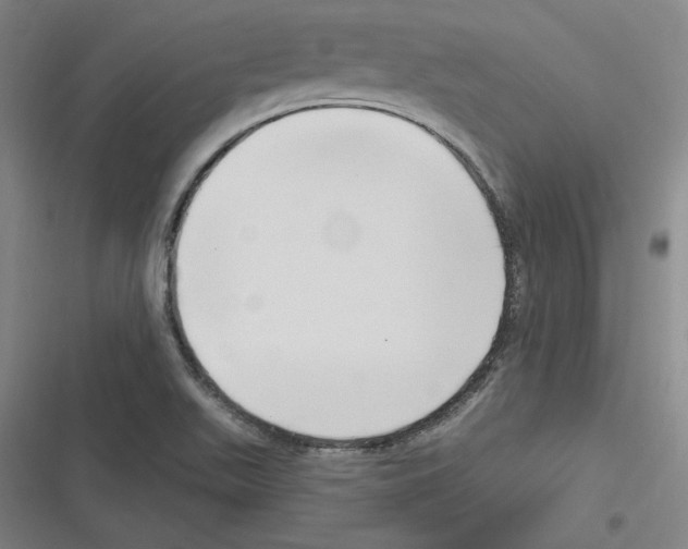 X0000116651511201001111218