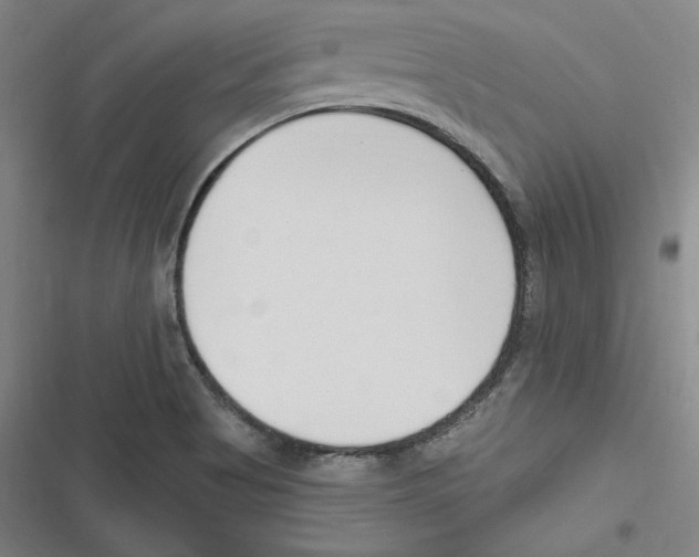 X0000116651513201001111218