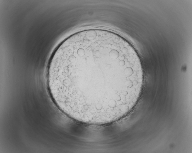 X0000116651514201001111218