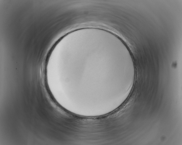 X0000116651515201001111218