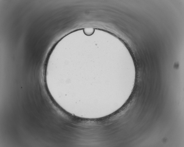 X0000116651517201001111218