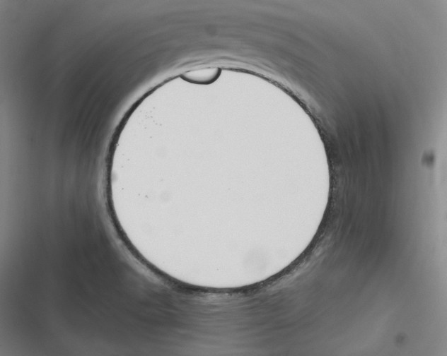 X0000116651518201001111218