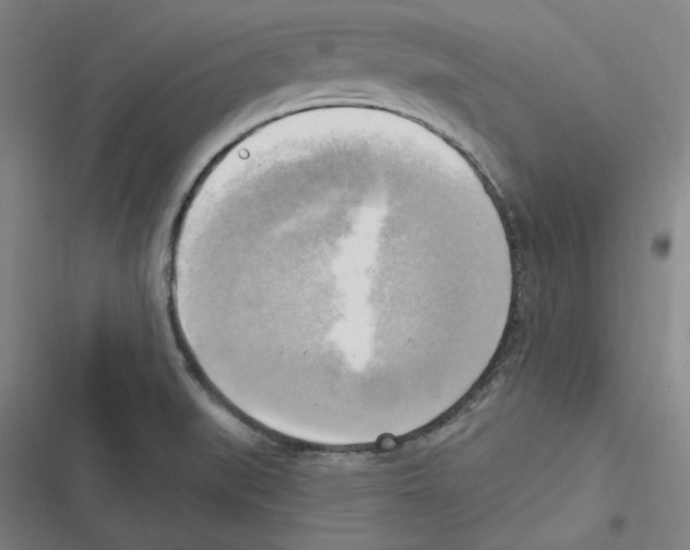 X0000116651519201001111218