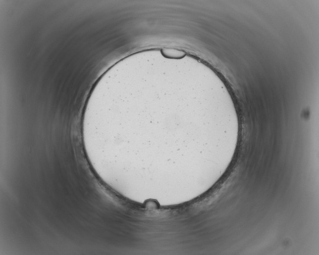 X0000116651521201001111218