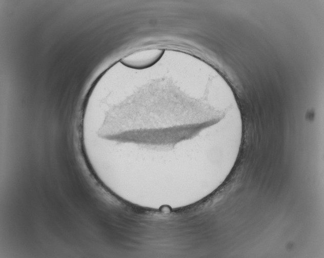 X0000116651522201001111218