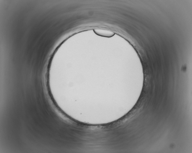 X0000116651523201001111218