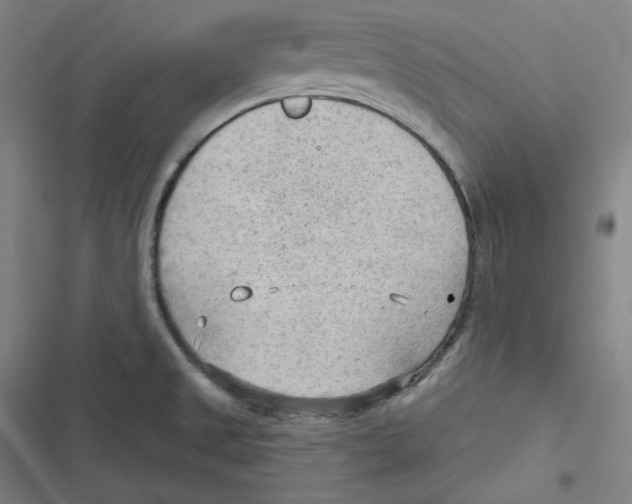 X0000116651525201001111218