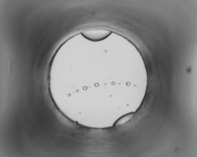 X0000116651526201001111218