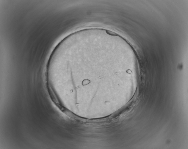 X0000116651527201001111218