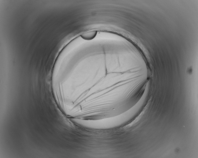 X0000116651529201001111218