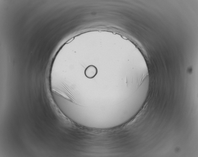 X0000116651530201001111218