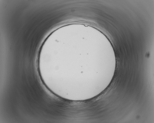 X0000116651531201001111218