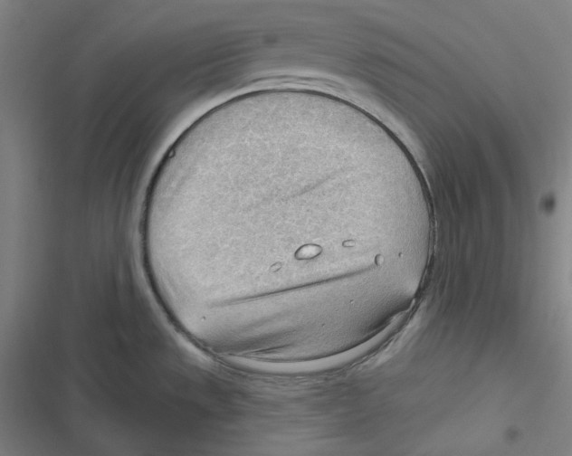 X0000116651533201001111218