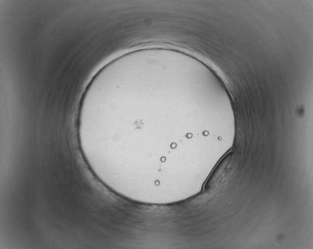 X0000116651534201001111218