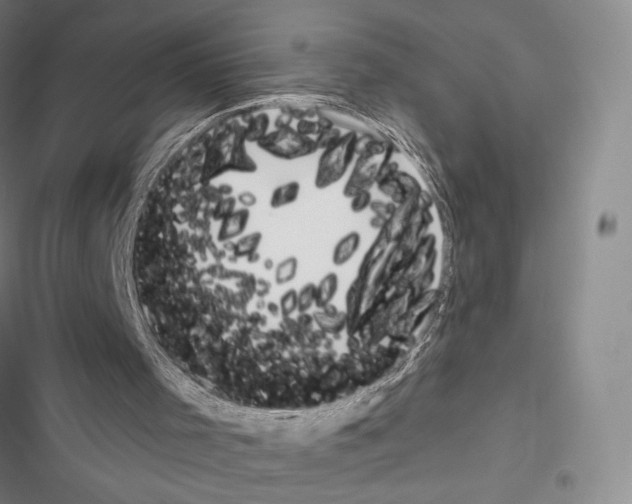 X0000116650001201001251206
