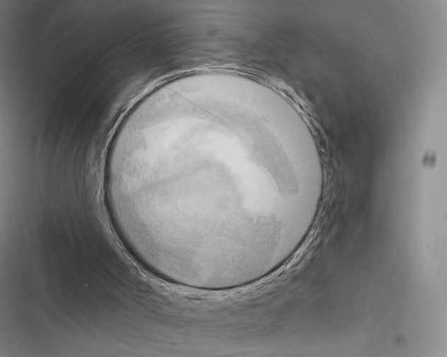 X0000116650002201001251206