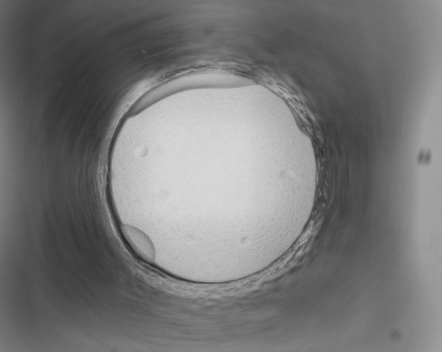 X0000116650003201001251206