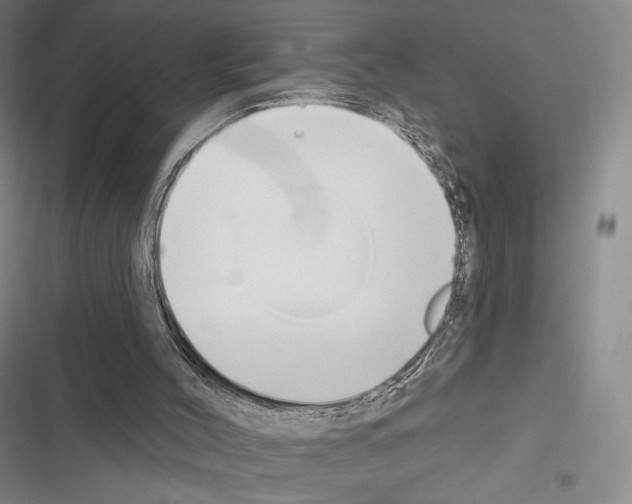 X0000116650004201001251206