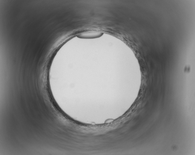 X0000116650005201001251206