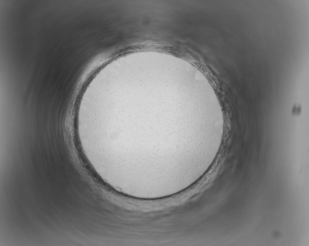 X0000116650006201001251206