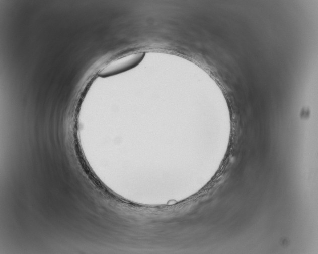 X0000116650007201001251206