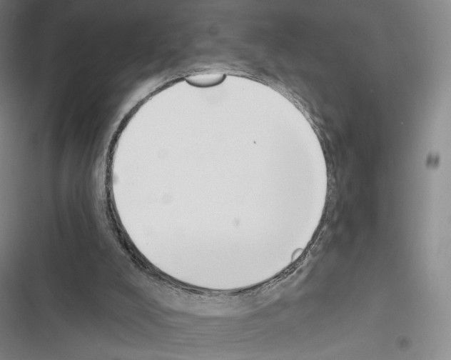 X0000116650008201001251206