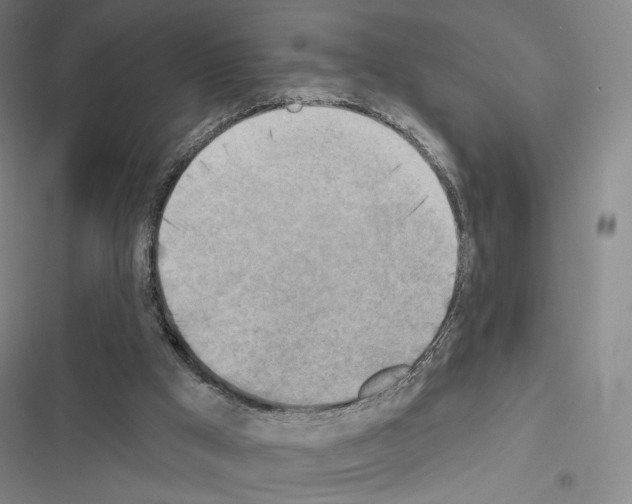 X0000116650009201001251206