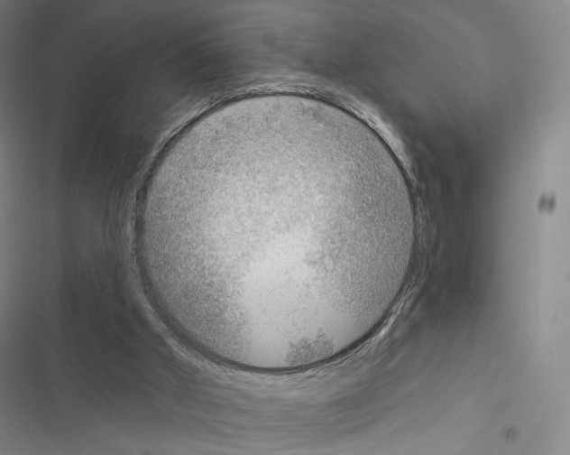 X0000116650010201001251206