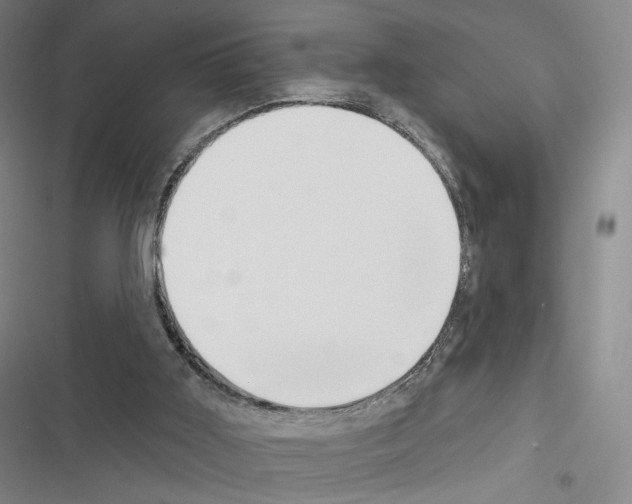 X0000116650011201001251206