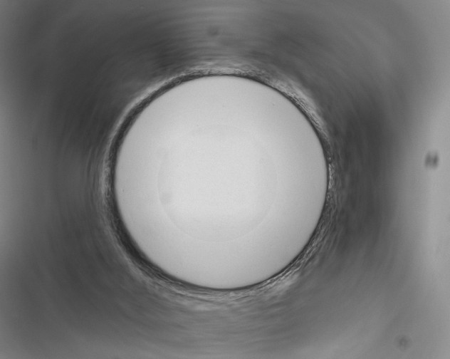 X0000116650012201001251206