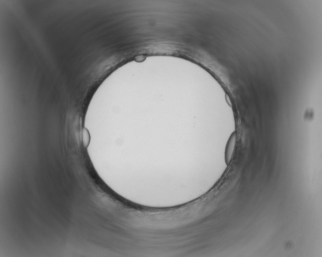 X0000116650013201001251206