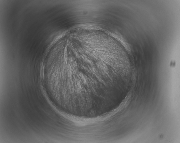 X0000116650014201001251206