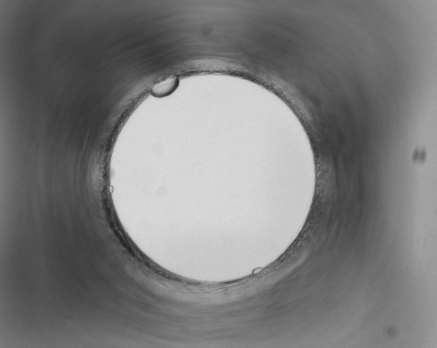 X0000116650015201001251206