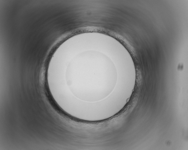 X0000116650016201001251206