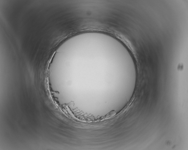 X0000116650017201001251206