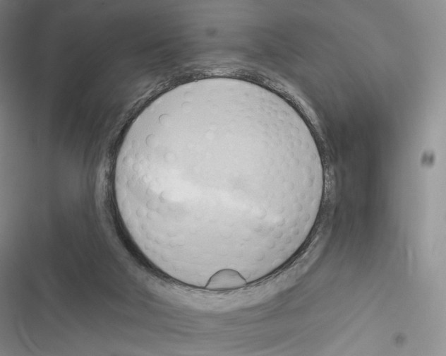 X0000116650018201001251206