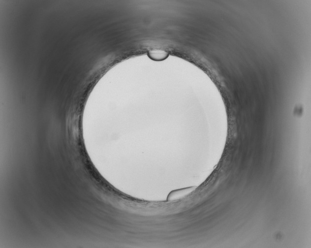 X0000116650019201001251206