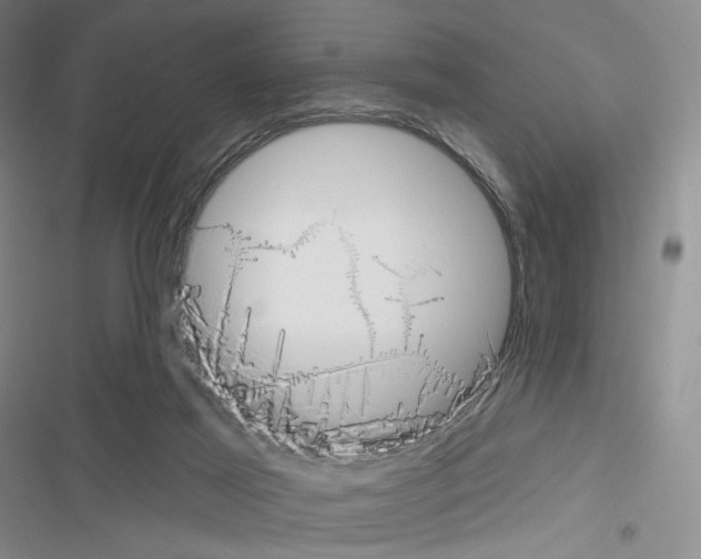 X0000116650021201001251206
