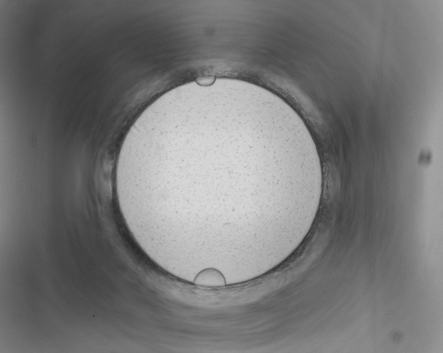 X0000116650022201001251206