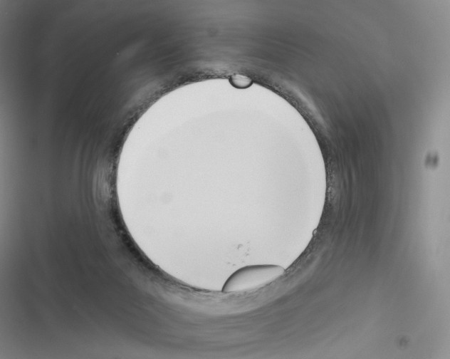 X0000116650023201001251206