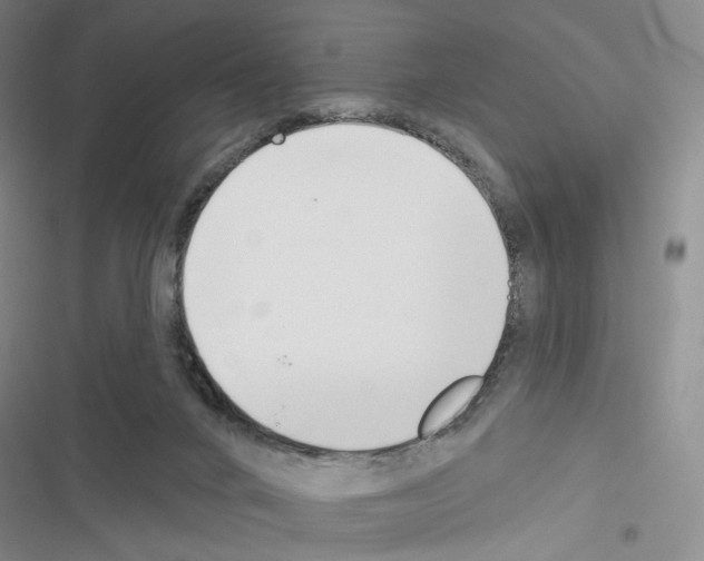 X0000116650024201001251206