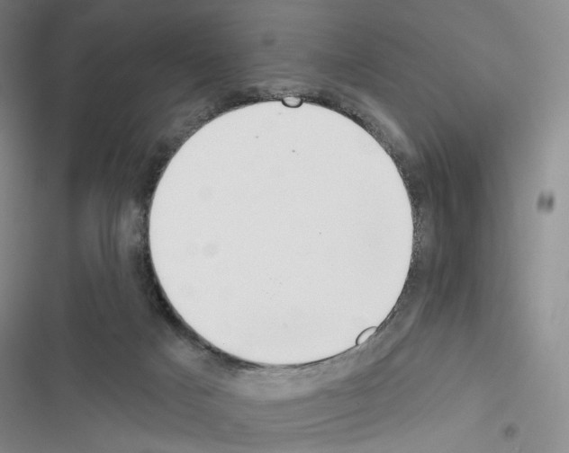 X0000116650025201001251206